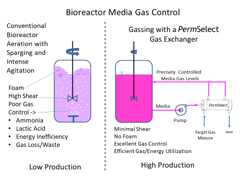 Bioreactor tank media gas control